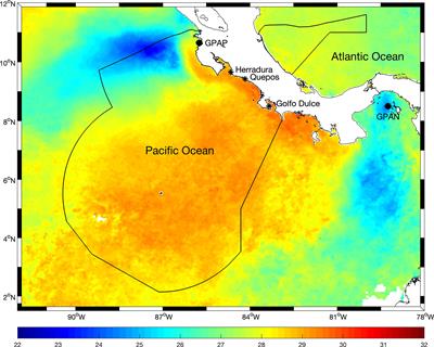 Trends and variability in local abundances of sailfish Istiophorus platypterus in Pacific waters of Costa Rica: Controls and effects on recreational fisheries